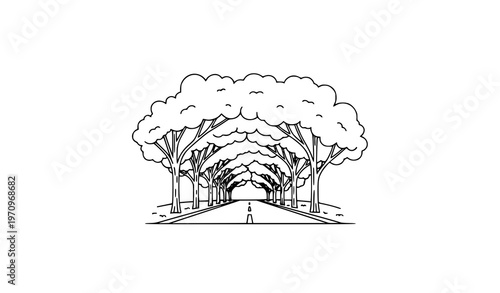 Tall trees shading road line art flat vector illustration