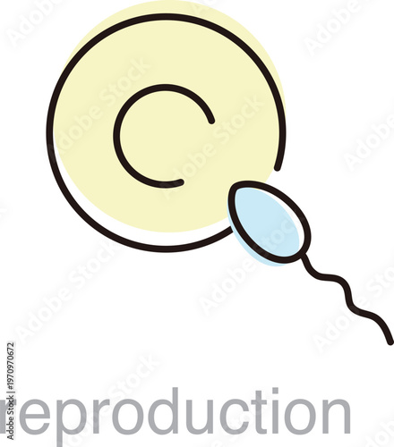 Understanding reproduction through visual representation of a sperm and an egg in a simple diagram