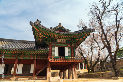 창덕궁 보춘정의 봄- 종로구, 서울