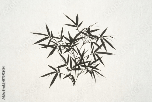 Bamboo leaf shadow on traditional washi paper with deep focus scan