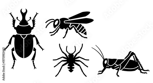 Insect silhouettes set: beetle, wasp, spider, and grasshopper icons on white background