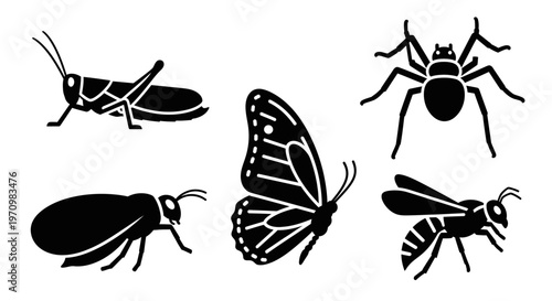 Insect Silhouettes Set: Butterfly, Spider, Grasshopper, Beetle, and Wasp Icons
