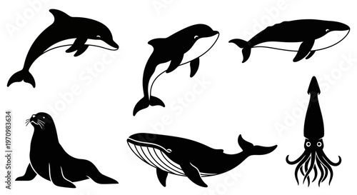 Marine Animals Silhouettes Set: Dolphin, Whale, Seal, Squid Icons Vector