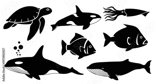 Marine Animals Silhouettes Set, Ocean Creatures Vector Icons, Sea Life Collection