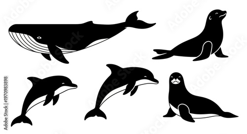 Marine Mammals Silhouettes Set: Whale, Dolphins, and Seals Vector Illustration