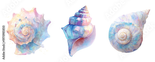 Watercolor seashell collection in iridescent pastel hues with spirals and soft gradients, delicate marine motifs for beach, nautical and tropical design projects