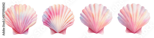 Watercolor seashells painted with soft pastel pink, orange, and blue hues, creating a gentle marine theme and elegant ocean inspired decorative element or pattern