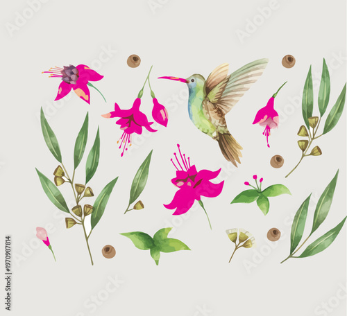 Vibrant watercolor illustration capturing a hummingbird amidst delicate pink fuchsia flowers and elegant eucalyptus foliage, an exquisite botanical composition