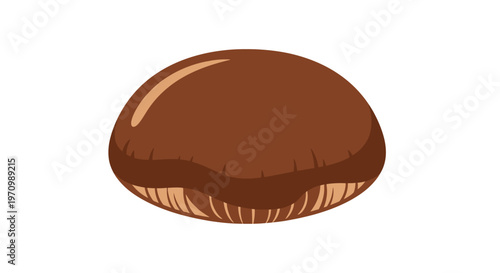 Brown mushroom cap cartoon illustration on white background
