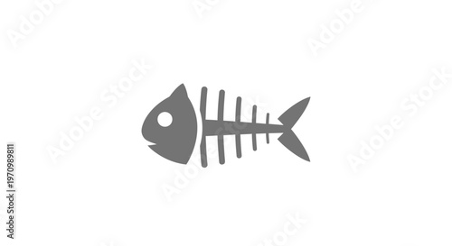 Fish skeleton bone remains dead.