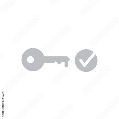 Gray key with a checkmark in a circle represents verification and successful access on a clean white background.