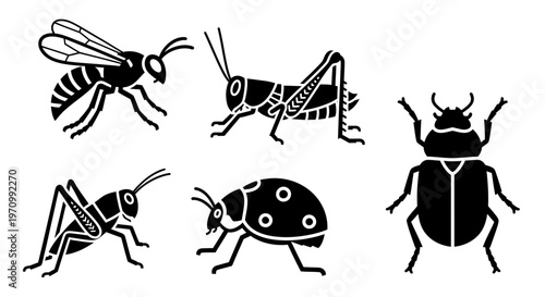 Various Insect Silhouettes Collection Vector Illustration Set