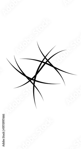 Black thorn twig plant branch.