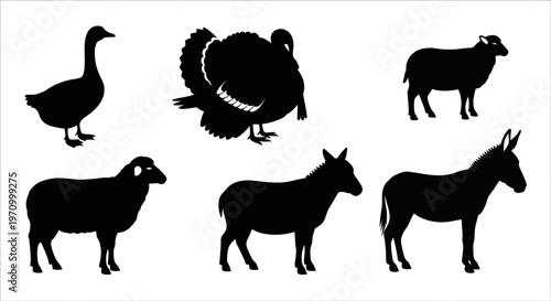 Farm Animals Silhouettes Collection: Goose, Turkey, Sheep, and Donkey Icons