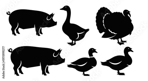 Farm Animals Silhouettes Collection: Pig, Goose, Turkey, and Ducks Vector Illustration
