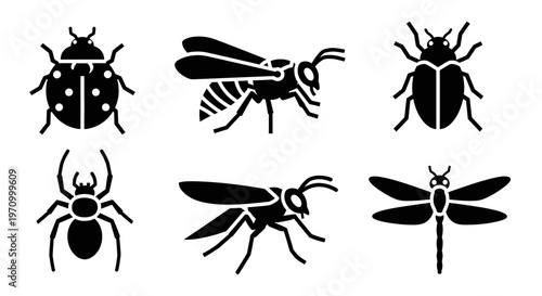 Insect and Bug Silhouette Icons Set: Ladybug, Wasp, Spider, Beetle, Dragonfly Collection