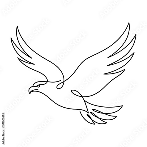 Simple vector one line art illustration of a flying dove and eagle symbolizing peace and freedom