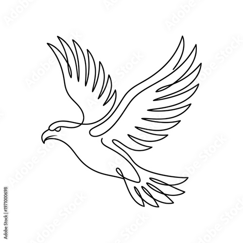 Simple vector one line art illustration of a flying dove and eagle symbolizing peace and freedom