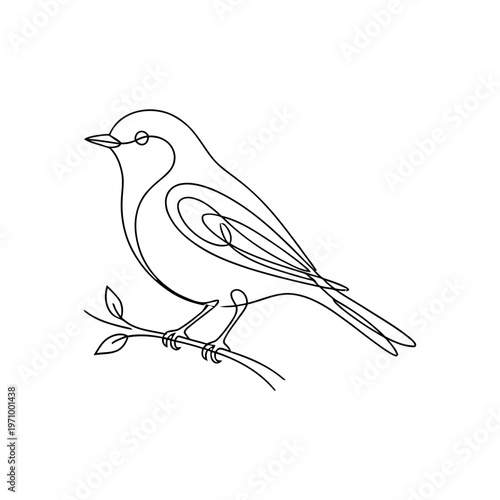 Minimal continuous line illustration of a bird