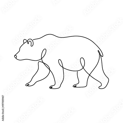 Minimal continuous line illustration of a bear
