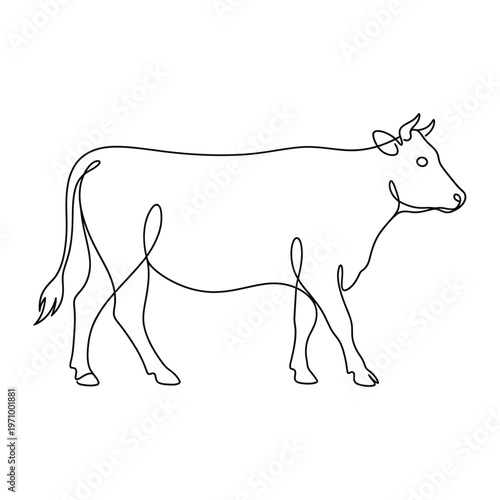Simple continuous line art drawing of a cow