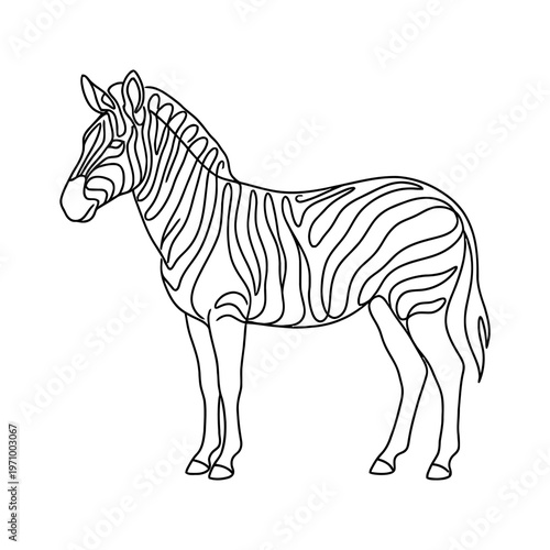 Minimal continuous line art illustration of a zebra