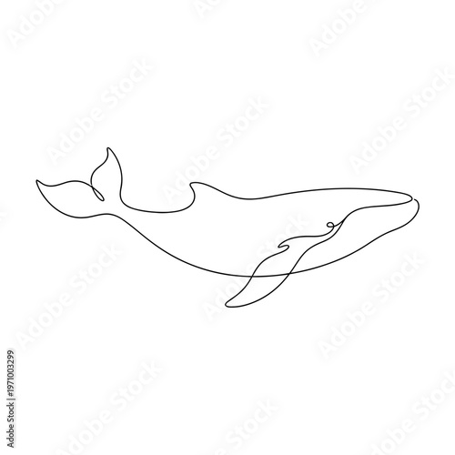 Minimal continuous line art illustration of a whale