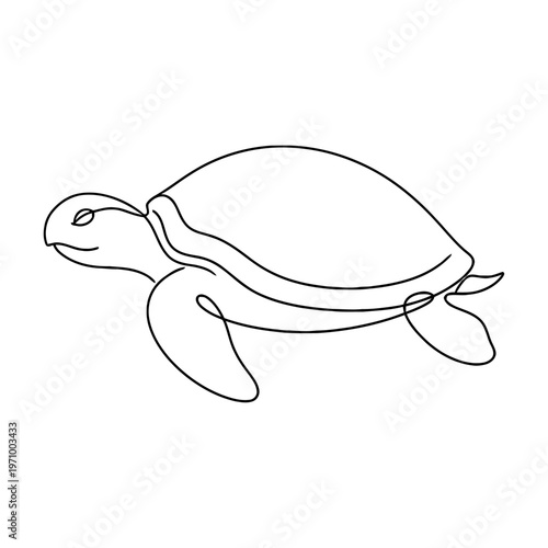 Minimal continuous line art illustration of a turtle