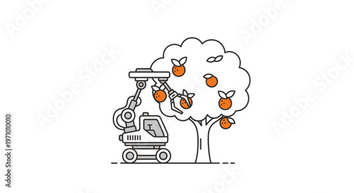 Harvesting oranges from a tree machine.