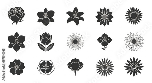 Collection of various flower silhouettes in black and white.