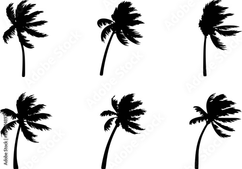 Bild auf Leinwand Black silhouette palm trees with windblown fronds against a white background