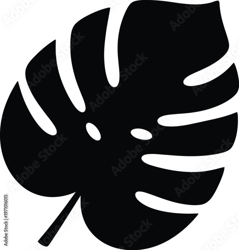 Black silhouette of a monstera deliciosa leaf with holes and veins on transparent background vector illustration.