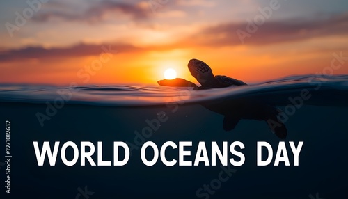 A sea turtle swims in the ocean on World Oceans Day during a beautiful sunset