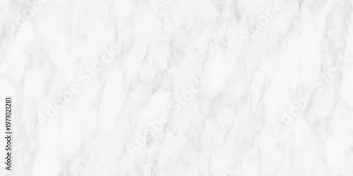 Natural white marble stone texture, perfect for showcasing its luxurious texture and pattern, stone ceramic art wall interiors backdrop desig, white gray marble texture vector pattern background,