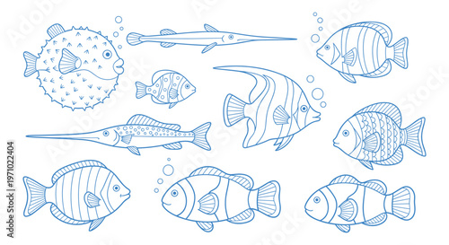 Hand-Drawn Outline Fish and Aquatic Creatures Set — Puffer Fish, Clownfish, Tropical Fish, Angel Fish Line Art Vector