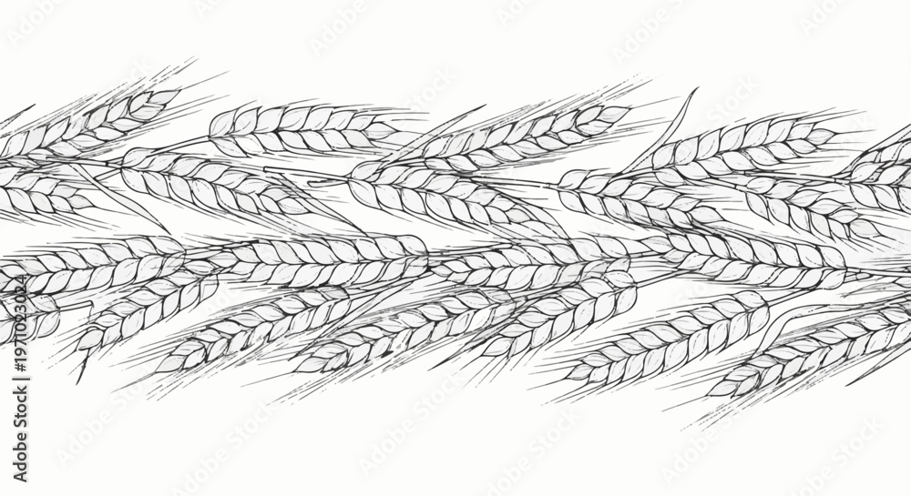 Fototapeta premium Delicate hand-drawn illustration of wheat stalks forming a decorative border