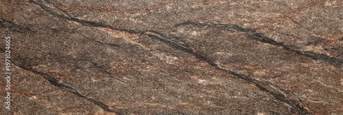 A detailed close-up of a honed brown gneiss stone texture featuring natural dark veins and a grainy surface. This metamorphic rock pattern is ideal for architectural backgrounds.