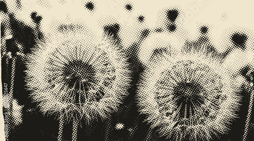 Dandelions in Vintage Halftone Photocopy Style Illustration