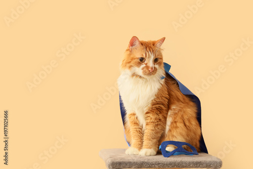 Cute cat in superhero costu...