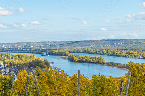 Foto Rhein Rheinland von oben