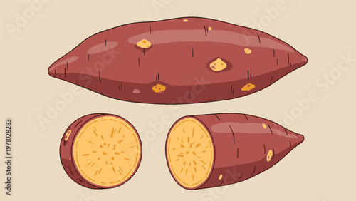 Large whole sweet potato and two smaller cut sections showing the inner yellow flesh are arranged on a neutral beige background vector art.