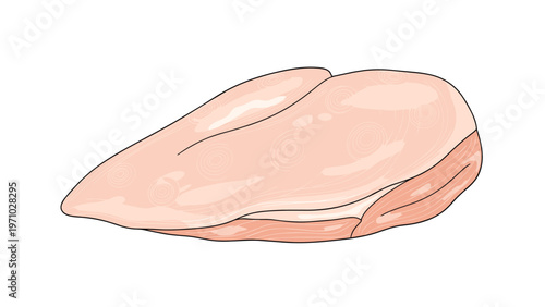 Large piece of fresh raw chicken breast with smooth pink skin and visible texture is shown against a plain white background in vector style.