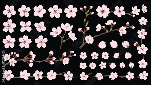 Collection of cherry blossom flowers and branches features various pink petals and buds against a dark background, perfect for spring themes.