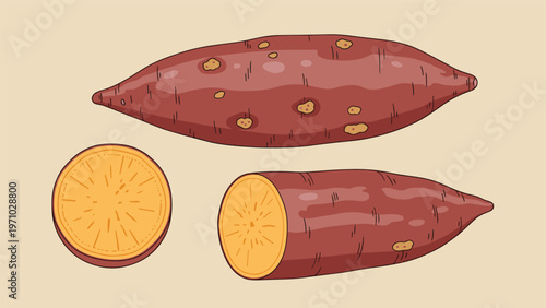 Whole and sliced sweet potato illustration shows healthy root vegetable with purple skin and golden yellow flesh on a neutral background.