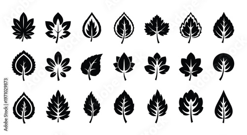 Assorted black and white leaf patterns in a grid formation