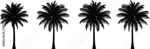 Palm tree silhouettes vector set with tropical coconut trees, black nature icons for beach landscape design, summer theme, travel branding, and island illustration