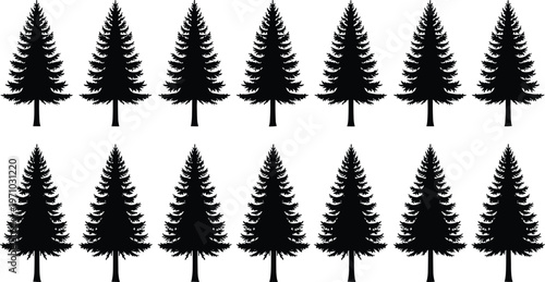 Set of pine tree silhouettes collection featuring evergreen conifer trees, detailed black isolated vector elements for forest, winter and landscape design