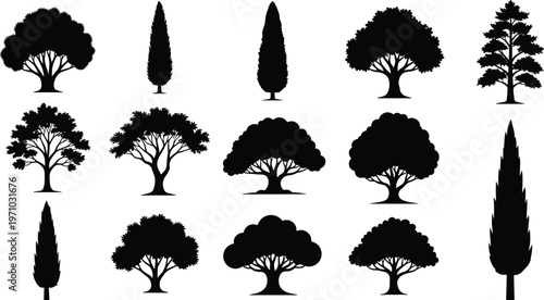 Tree silhouettes collection featuring deciduous, pine and cypress trees, black isolated vector set for forest, landscape and decorative nature design