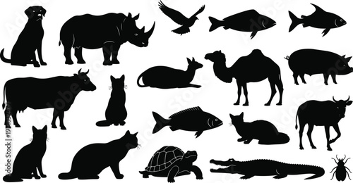 Animal silhouettes collection featuring domestic and wild animals including dog, cow, camel, fish and crocodile, black isolated vector set for design
