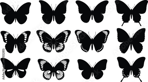 Butterfly silhouettes collection featuring various wing patterns and shapes, detailed black isolated vector set for nature, insect and decorative design projects